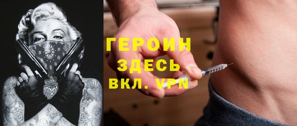 индика Аркадак