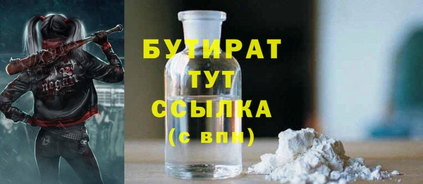 индика Аркадак