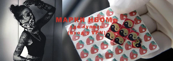 индика Аркадак
